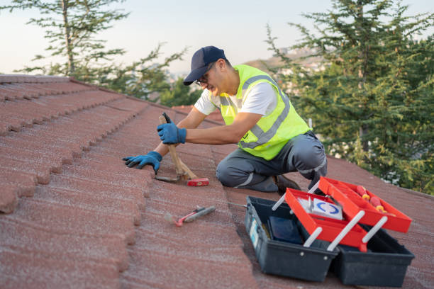 Best Roof Maintenance Services  in Wilder, VT