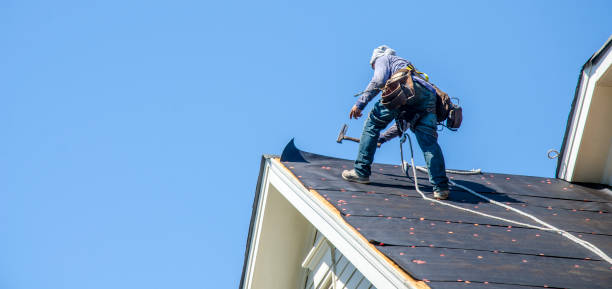 Best Storm Damage Roof Repair  in Wilder, VT